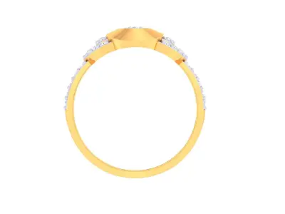 ring ring 3D print model 19