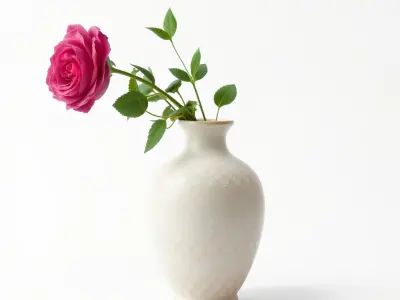 Elegant Ceramic Vase with Rose Flower Model Pack Low-poly 3D model