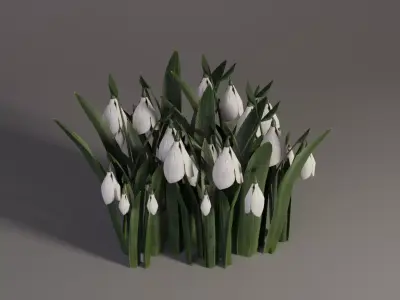 Snowdrop Spring Flower Galanthus Low-poly 3D model