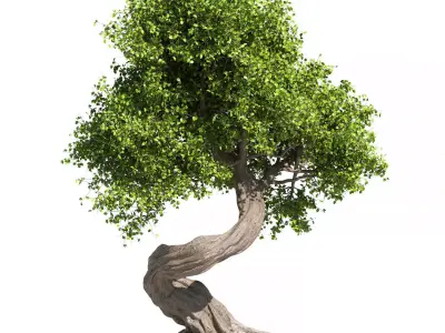 Tree Set 1 3D model