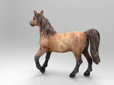 HORSE Low-poly 3D model 5