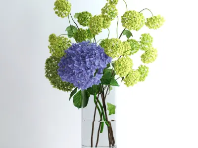 Hydrangeas and Viburnum  3D model