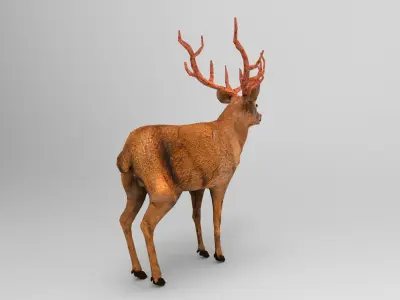 Red Game ready low poly deer model  Low-poly 3D model