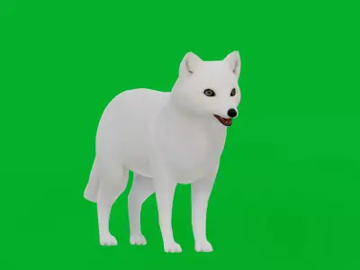 Arctic Fox Low-poly 3D model