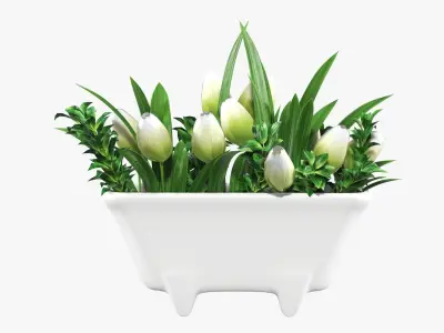 Tulips in bathtub composition 3D model