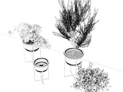 Interior Plants Trio Low-poly 3D model