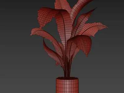 indoor plant 027 3D model