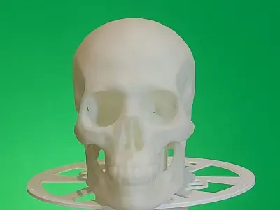 Skully the Trailer Hitch Cover 3D print model