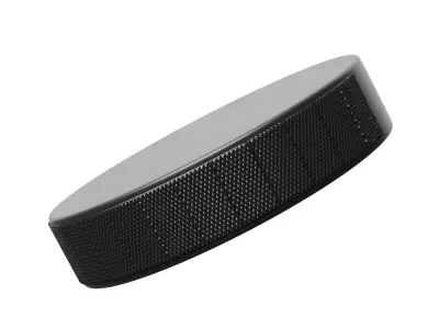 Hockey Puck 3D model