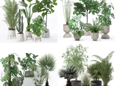 20 Photorealistic Flowers for Interiors - set 122 127 131 135 3D Model Collection