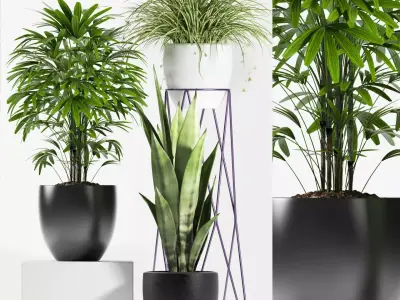 plants set 125 3D model