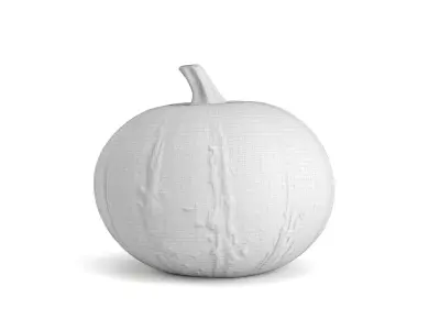 Decorative Pumpkin Gourd 1 3D model