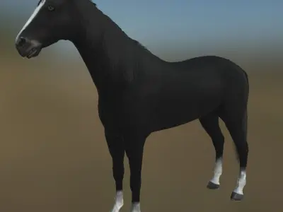 Rigged Horse With Saddle and Various Animation Low-poly 3D model