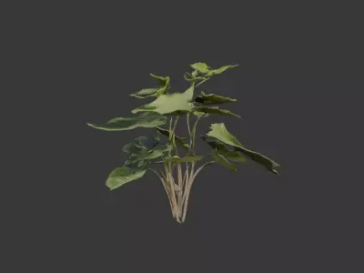 house plant 3D model
