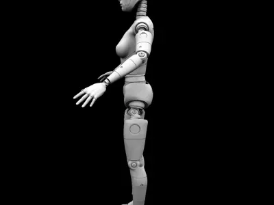 Crash Test Dummy  Robot Android  3D model Female 3D model