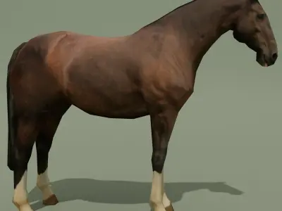 LowPoly Horse C Liver Chestnut Low-poly 3D model