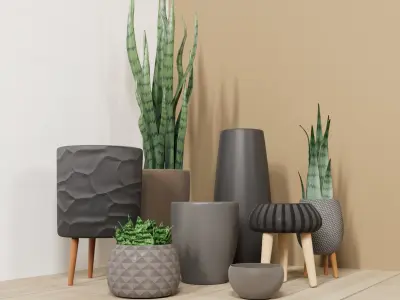 Vases pots and 3 snake plants set 3D model  3D model
