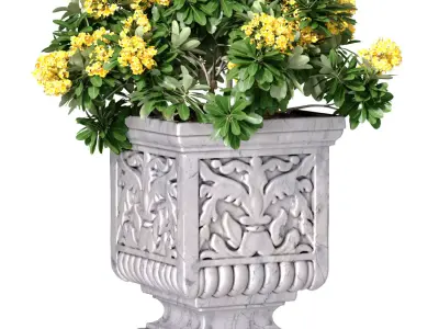 Outdoor garden plant tree in a marble vase planter urn flowerpot 3D model