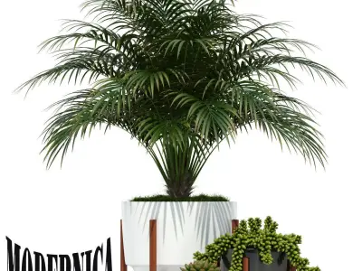 Plants collection 68 Modernica pots 3D model