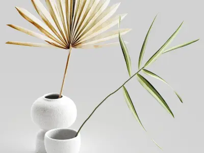 Decor vases with dried flowers Set 85 3D model