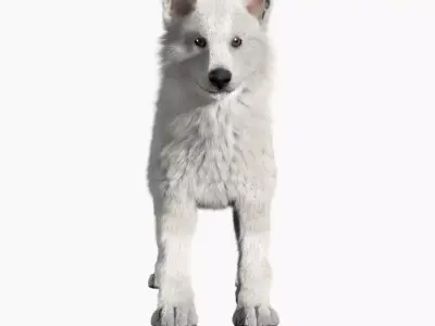 Wolf baby with realistic fur Low-poly 3D model
