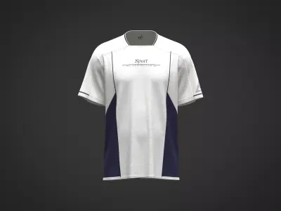 Mens sport Jersey T-shirt with graphic  3D model