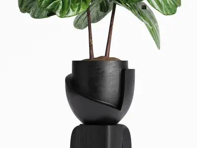 Indoor Plants 14-Fig 3D model