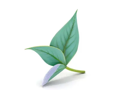 Elegant Leaf model pack Low-poly 3D model