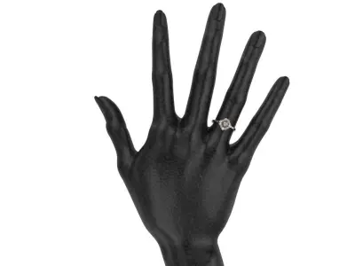 Ring and Earring of Pearls Classico flower 3D print model