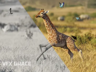 Young Giraffe  VFX Grace 3D model