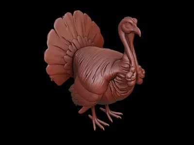 Turkey Animal Sculpture 3D print model purchase