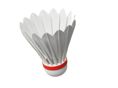Shuttle Cock 3D model