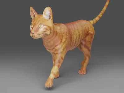 Cat Yellow V3 Rigged Low-poly 3D model