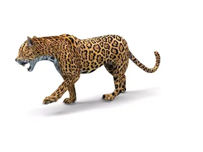 3D Leopard Rigged Model  Low-poly 3D model