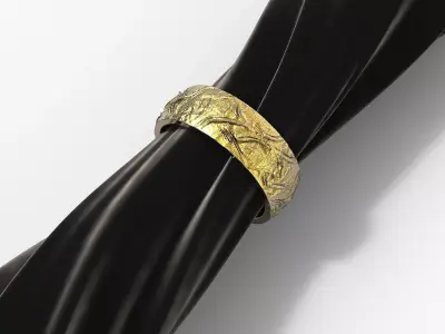 Ring Noise  3D print model