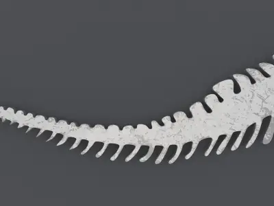 Dinosaur Skeleton - Printable 3D print model