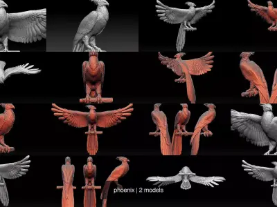 phoenix 3D Model Collection