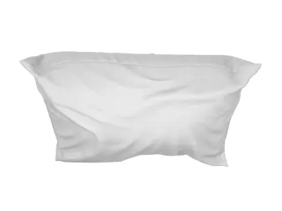 Solid Pillow 15 3D model