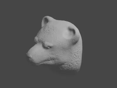 bear  3D 3D model