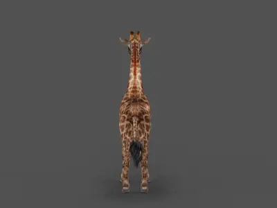 Fur Giraffe Rigged in Blender Low-poly 3D model