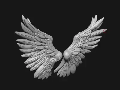 Wings 3D print model