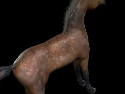 Thoroughbred Arabian Horse WILD WORLD PONY 7 Low-poly 3D model