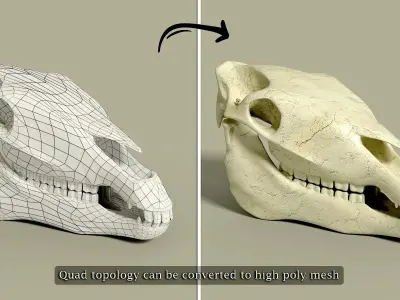 Animals bones with skulls Low-poly 3D model