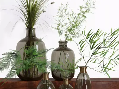 Bouquet of Indoor Grass Herb Plant Glass Vases Set 3D model