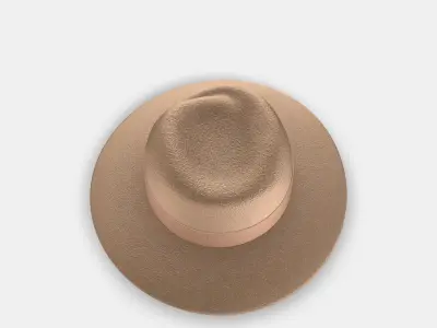 MAISON MICHEL VIRGINIE 3D model