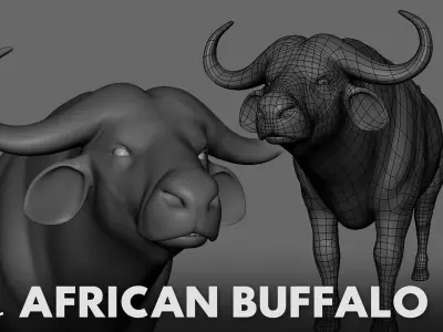 African Buffalo Low-poly 3D model