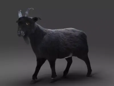 Fur Goat 05 Rigged and Animation Low-poly 3D model