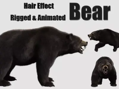 bear grizzly brown bear black bear Low-poly 3D model