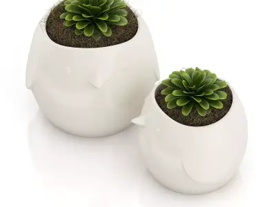 Two Plants in Bird Pots 3D model