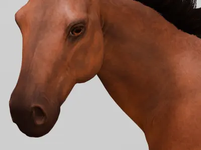 Horse 3D Model Low-poly 3D model